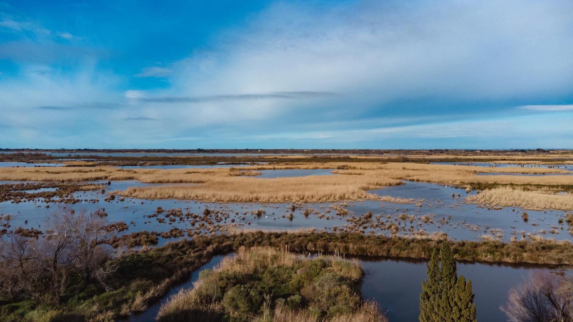 Mas Du Couvin, Maison D'Hotes En Camargue Saintes-Maries-de-la-Mer Zewnętrze zdjęcie