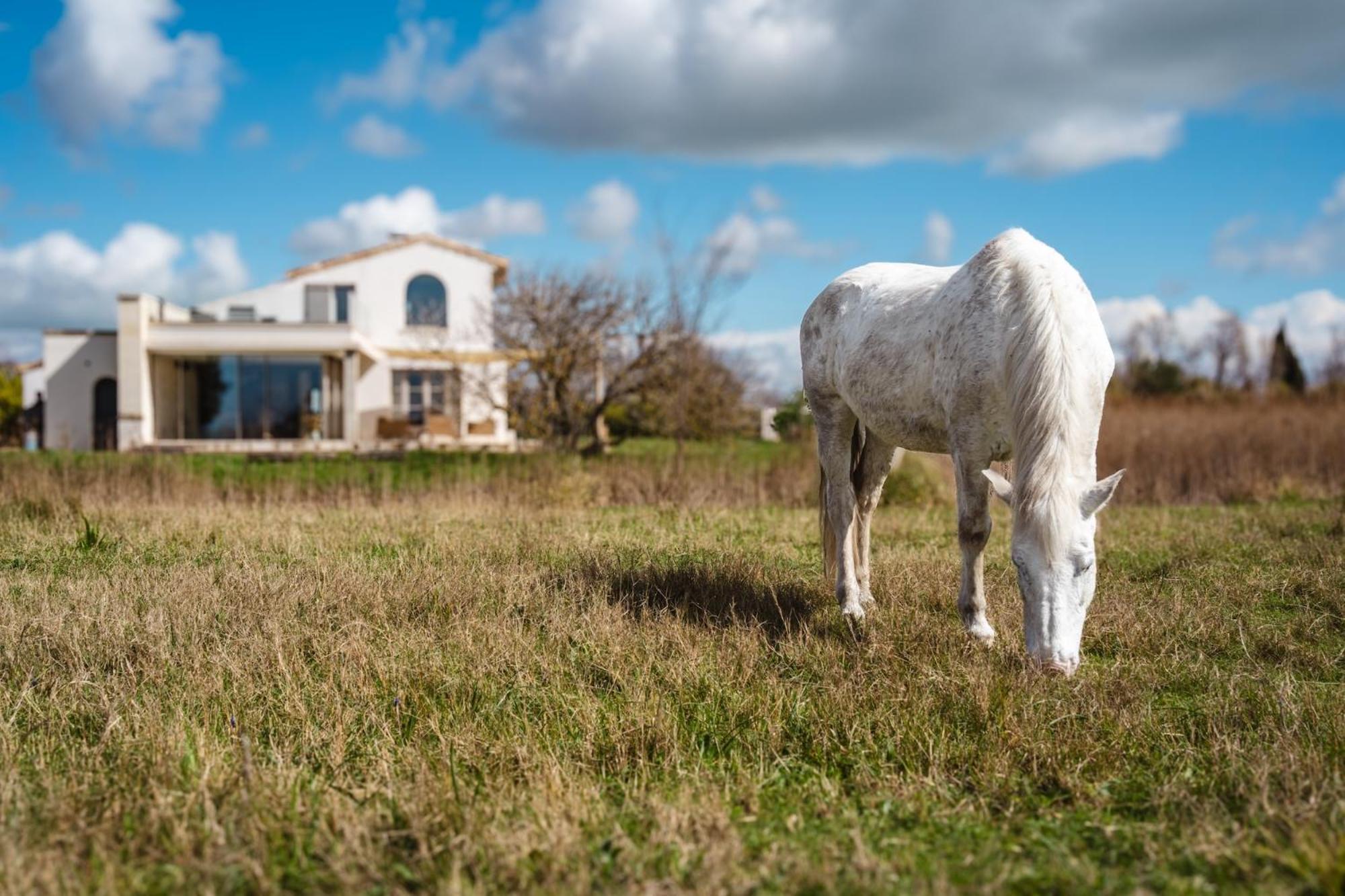 Mas Du Couvin, Maison D'Hotes En Camargue Saintes-Maries-de-la-Mer Zewnętrze zdjęcie