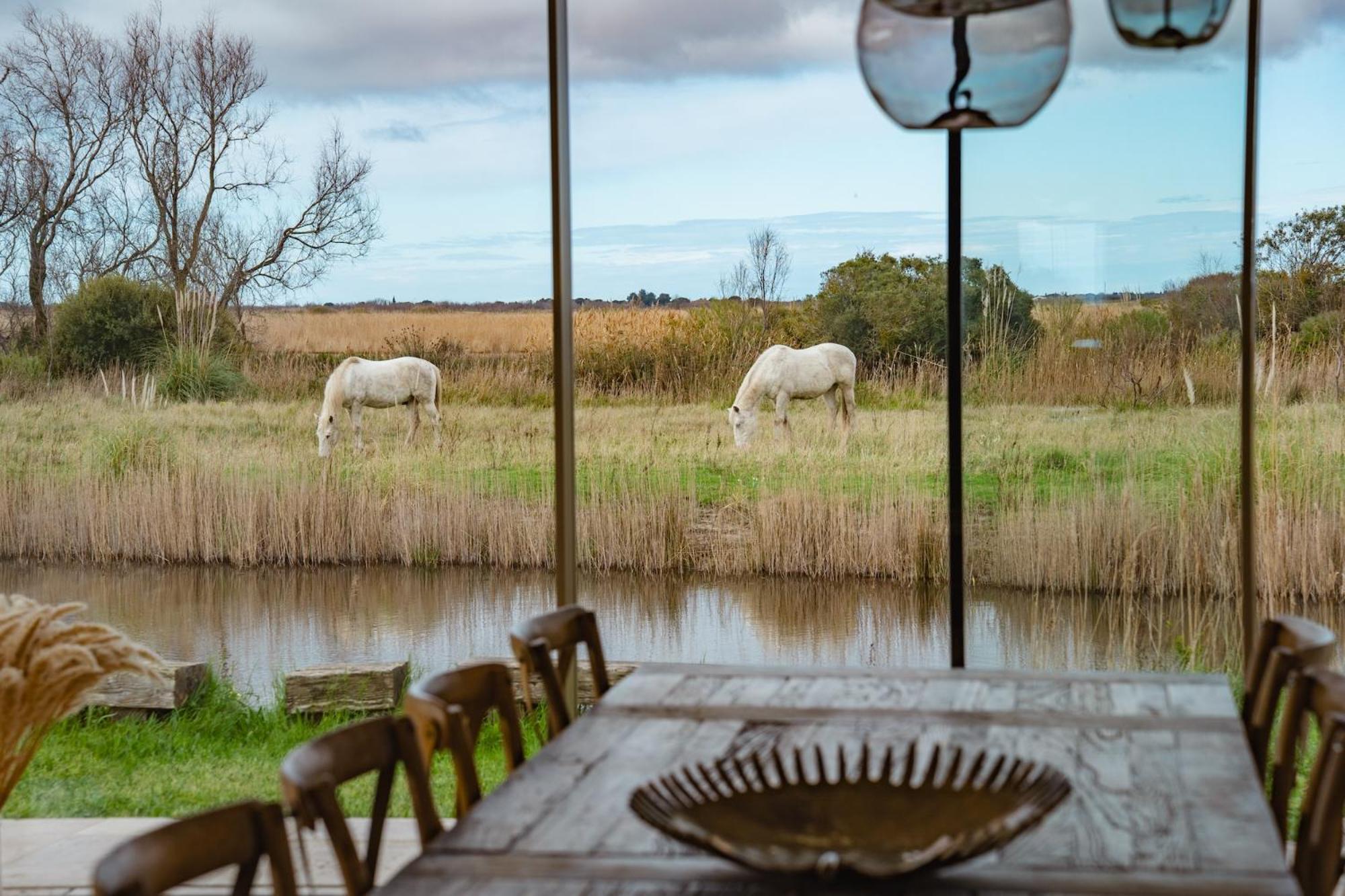 Mas Du Couvin, Maison D'Hotes En Camargue Saintes-Maries-de-la-Mer Zewnętrze zdjęcie